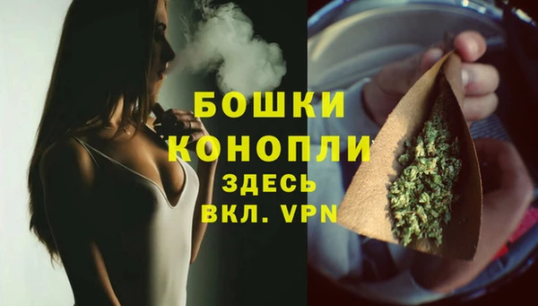 хмурый Белокуриха