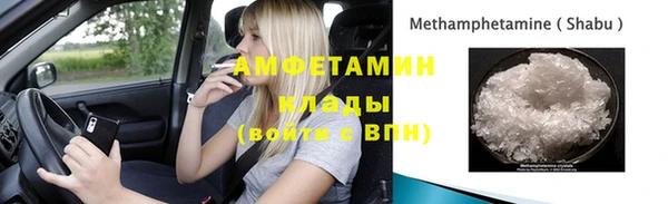 хмурый Белокуриха